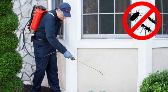 Abana Karınca İlaçlama böcek ilaçlama ve haşere kontrolü — ilaclama-tr.com
